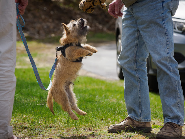 Jumping for joy