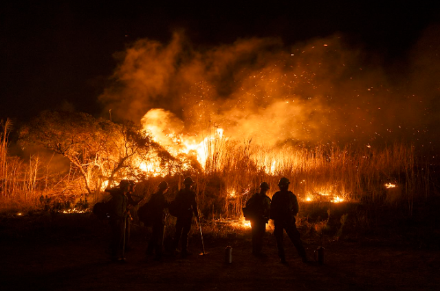 Wildfires Ravage Los Angeles: Death Toll Rises Amid Worsening Conditions