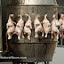 Η.Π.Α: Τα σφαγεία πουλερικών γεμίζουν τα κοτόπουλα με χημικά για να αποκρύψουν τη μόλυνση με σαλμονέλα!!!