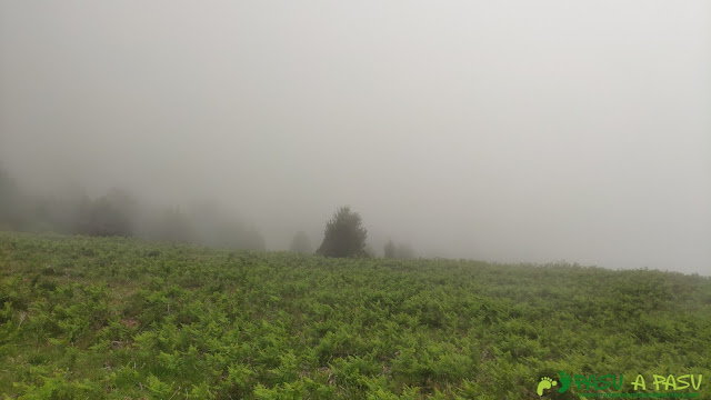 Niebla en el Collado de les Caldes