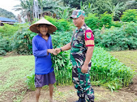 Perkuat Harmonisasi Dengan Warga, Babinsa Sentani Komunikasi Sosial Bersama Petani Lokal