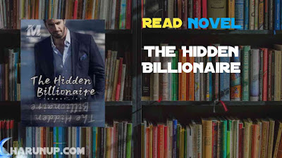 Read The Hidden Billionaire Novel Full Episode