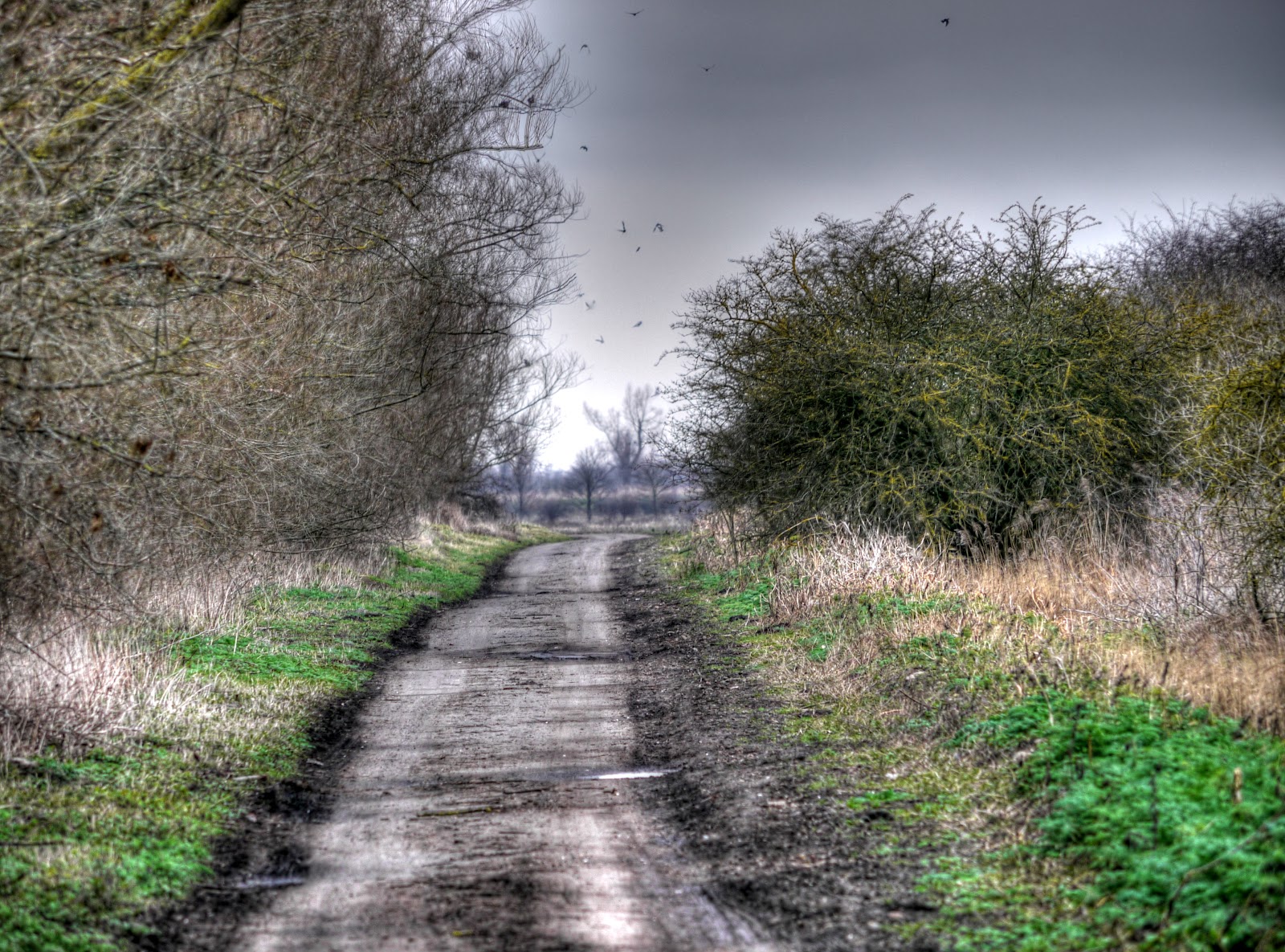 P1220595_6_7_tonemapped.JPG