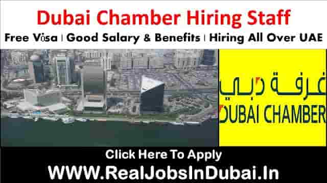 Dubai Chamber Jobs Vacancies  UAE 2023