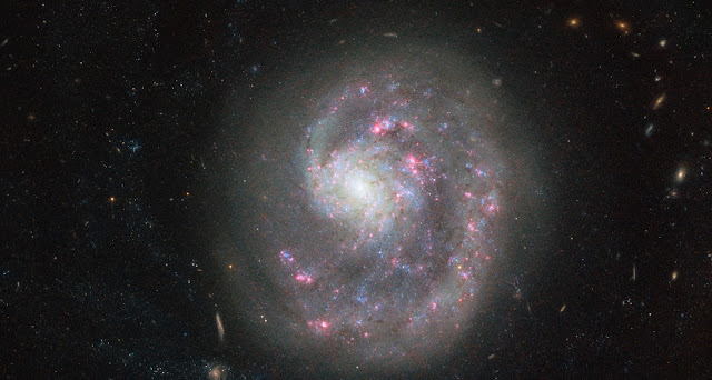 Spiral Galaxy NGC 4625
