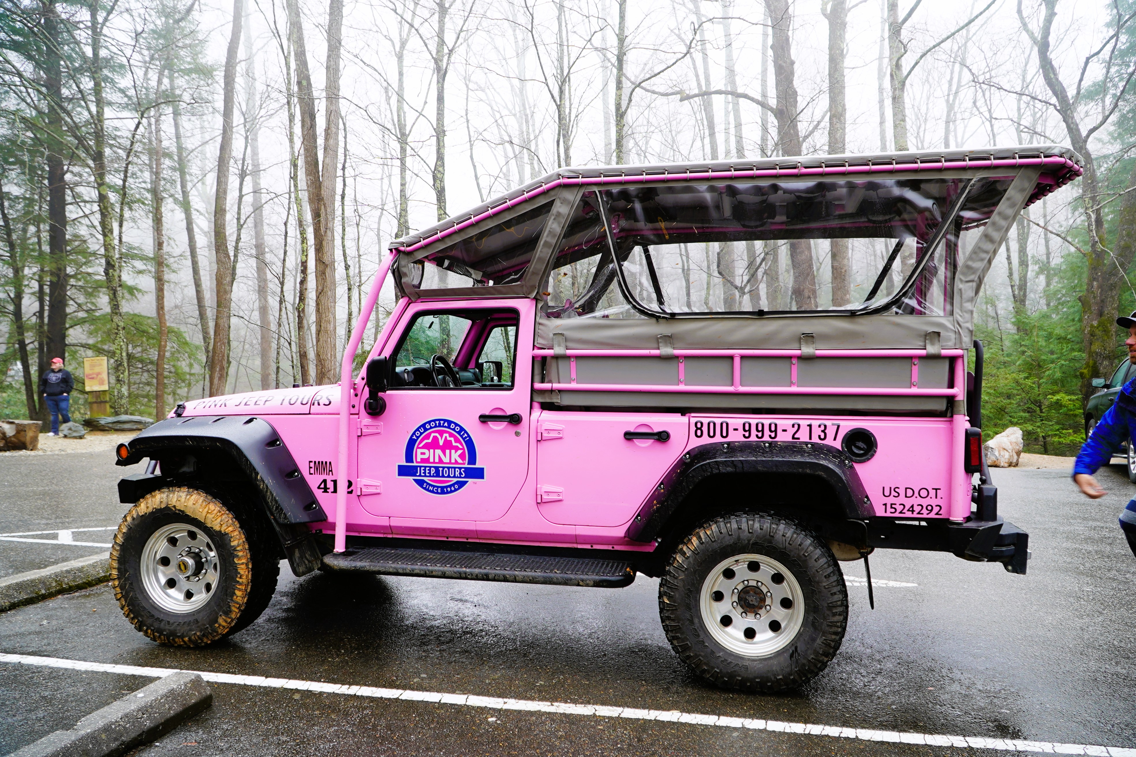 Pink Jeep Tours Smoky Mountains Review