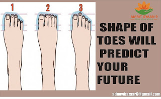 SHAPE OF TOES WILL PREDICT YOUR FUTURE