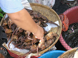 Forest Rat, One Special Food in Tomohon, North Sulawesi