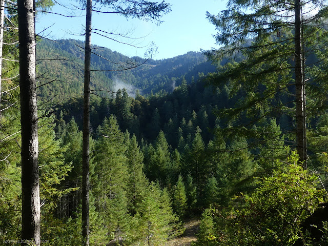 long view up the green bowl of land