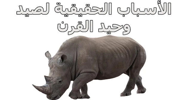 أسباب صيد وحيد القرن
