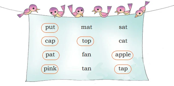 A. Encircle the words that have ‘p’ in them