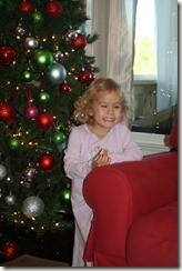 2010-11-27 (37)