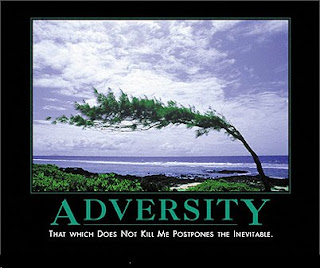 Adversity, from despair.com