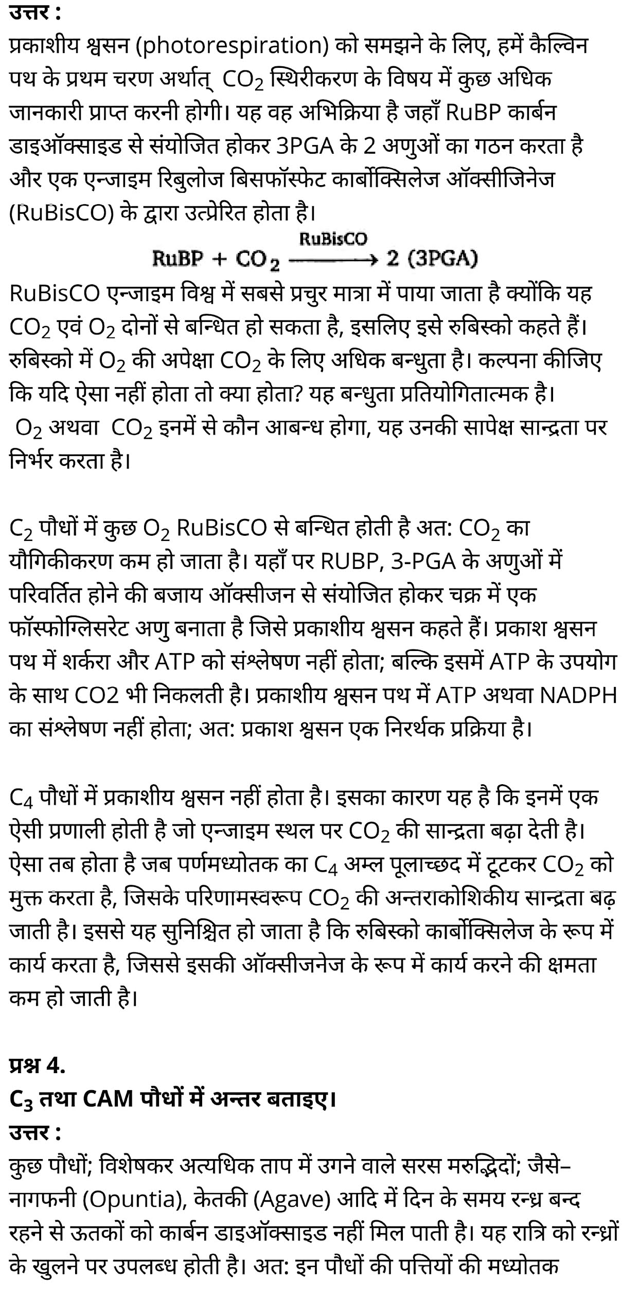 कक्षा 11 जीव विज्ञान अध्याय 13 के नोट्स हिंदी में एनसीईआरटी समाधान,   class 11 Biology Chapter 13,  class 11 Biology Chapter 13 ncert solutions in hindi,  class 11 Biology Chapter 13 notes in hindi,  class 11 Biology Chapter 13 question answer,  class 11 Biology Chapter 13 notes,  11   class Biology Chapter 13 in hindi,  class 11 Biology Chapter 13 in hindi,  class 11 Biology Chapter 13 important questions in hindi,  class 11 Biology notes in hindi,  class 11 Biology Chapter 13 test,  class 11 BiologyChapter 13 pdf,  class 11 Biology Chapter 13 notes pdf,  class 11 Biology Chapter 13 exercise solutions,  class 11 Biology Chapter 13, class 11 Biology Chapter 13 notes study rankers,  class 11 Biology Chapter 13 notes,  class 11 Biology notes,   Biology  class 11  notes pdf,  Biology class 11  notes 2021 ncert,  Biology class 11 pdf,  Biology  book,  Biology quiz class 11  ,   11  th Biology    book up board,  up board 11  th Biology notes,  कक्षा 11 जीव विज्ञान अध्याय 13, कक्षा 11 जीव विज्ञान का अध्याय 13 ncert solution in hindi, कक्षा 11 जीव विज्ञान  के अध्याय 13 के नोट्स हिंदी में, कक्षा 11 का जीव विज्ञान अध्याय 13 का प्रश्न उत्तर, कक्षा 11 जीव विज्ञान अध्याय 13 के नोट्स, 11 कक्षा जीव विज्ञान अध्याय 13 हिंदी में,कक्षा 11 जीव विज्ञान  अध्याय 13 हिंदी में, कक्षा 11 जीव विज्ञान  अध्याय 13 महत्वपूर्ण प्रश्न हिंदी में,कक्षा 11 के जीव विज्ञानके नोट्स हिंदी में,जीव विज्ञान  कक्षा 11 नोट्स pdf,     जीव विज्ञान  कक्षा 11 नोट्स 2021 ncert,  जीव विज्ञान  कक्षा 11 pdf,  जीव विज्ञान  पुस्तक,  जीव विज्ञान की बुक,  जीव विज्ञान  प्रश्नोत्तरी class 11  , 11   वीं जीव विज्ञान  पुस्तक up board,  बिहार बोर्ड 11  पुस्तक वीं जीव विज्ञान नोट्स,