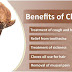 Remarkable Benefits of Cloves in Various Sections