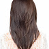 Layered Hair Back View V Shape 2015 New