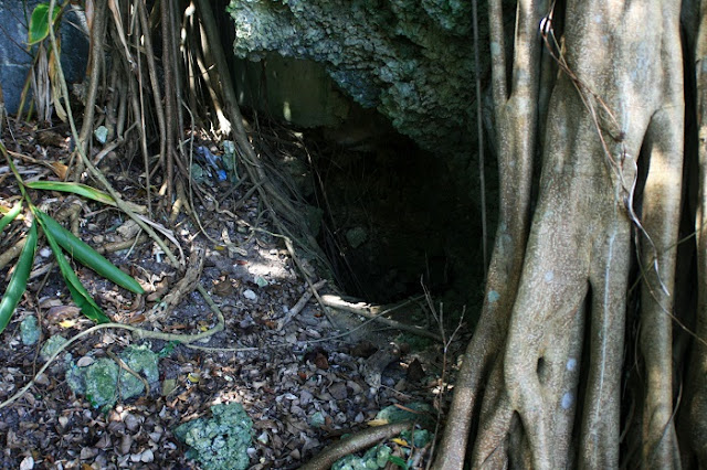 阿麻和利の墓の写真