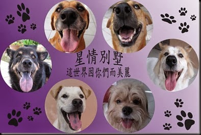 blog banner
