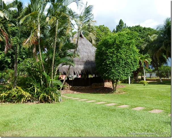P1010936