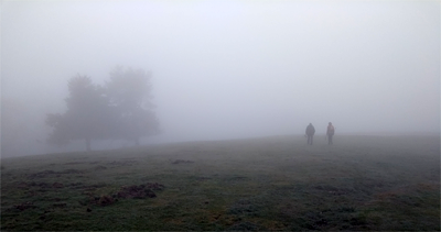 Recorrido entre la niebla