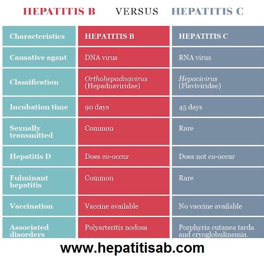 What are The Difference Between Hepatitis B and Hepatitis C