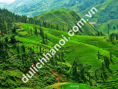 anh trong tour sapa