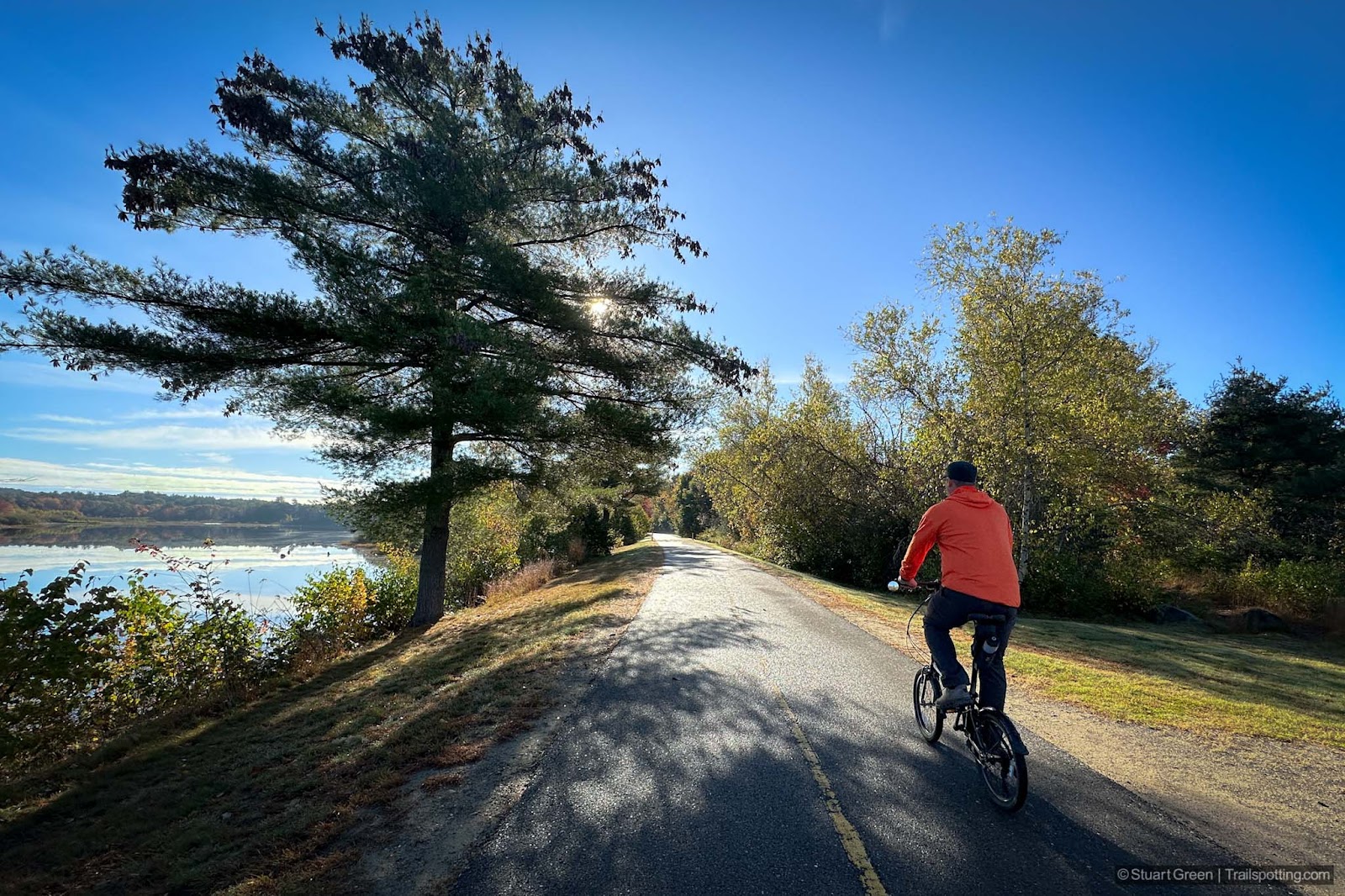 Cyclist on the rail trail. Pond to the left. Direct morning sunlight coming from behind the trees, casting dark shadows on the ground.