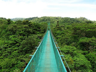 Costa Rica, paseo sobre la jungla