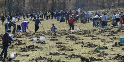 Campanie de împădurire în "Luna Pădurii 2013"