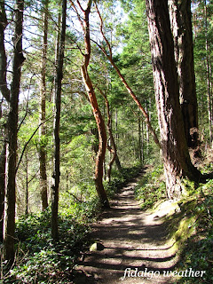 Deception Pass State Park