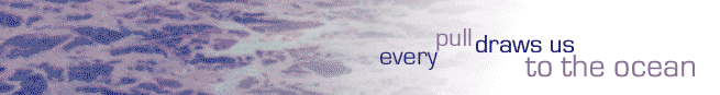 every pull draws us to the ocean
