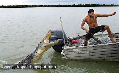 krokodil támadás képek