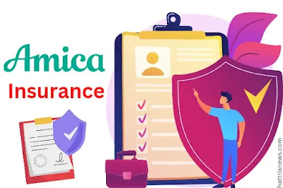 Amica Insurance - Overview, Benefits & Coverage Options