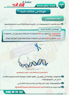 مذكرة الأحياء للصف الأول الثانوي الفصل الدراسي الثاني أ حاتم أسامة