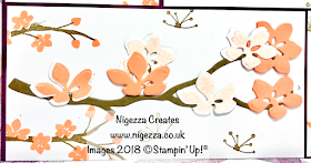 Shadow Frame Box Sampler Using Stampin' Up!® Natures Poem & Colourful Seasons Nigezza Creates