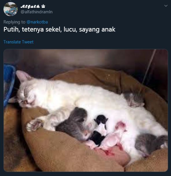 10 Meme 'Tipe Pasangan Idaman' Ini Lucunya Kebangetan