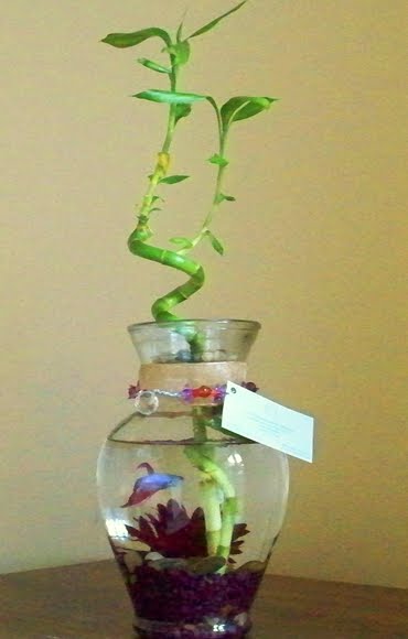 beta in vase