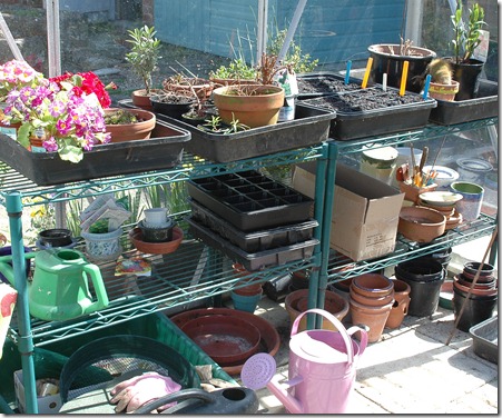 garden 008