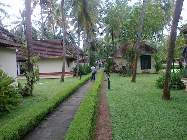 Dreamz, Views and Ideas.: Kerala landscape