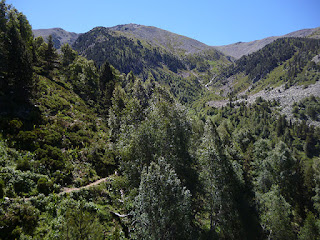 Valle del río Cadí