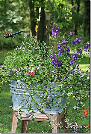 Washtub_Sept9