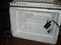 DIY Incubator