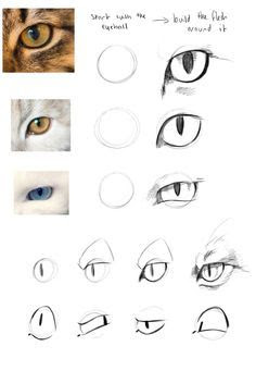 Como dibujar ojos de Gato, Como dibujar ojos de reno, como dibujar ojos de perro, como dibujar ojos de gato