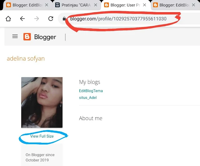 informasi profile blogger