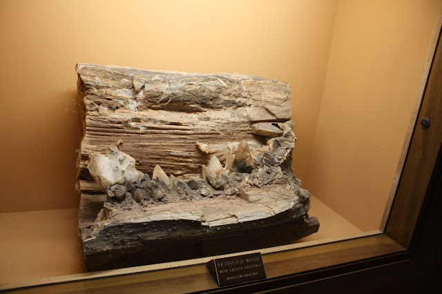 Petrified wood specimen at Lizzadro Museum of Lapidary Art in Elmhurst, IL