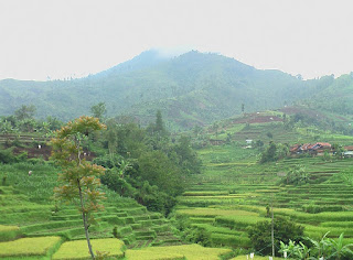  GUNUNG RAKUTAK