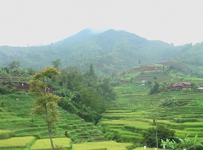 Gunung Rakutak