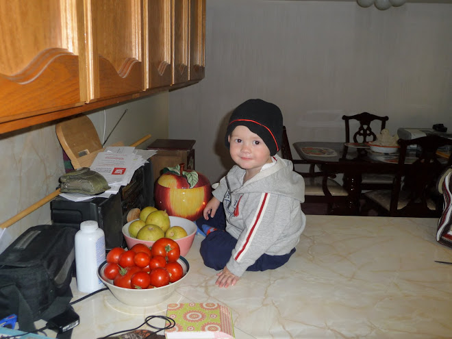 OuR LittLe MonKeY
