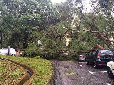 Ribut Petir Melanda UITM Shah Alam 12 Mei 2015 