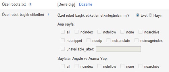 özel robot txt